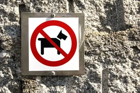imageInterdit aux animaux