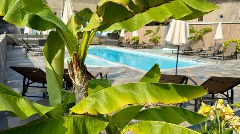 image Logis Hôtel Bellevue