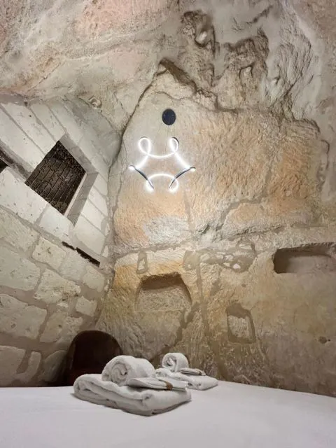 image Logis Hôtel Demeure de la Vignole