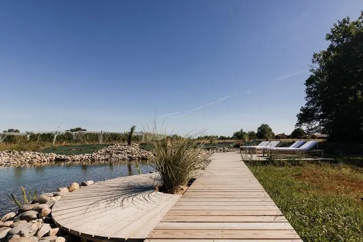 image  Bassin de Baignade Naturel