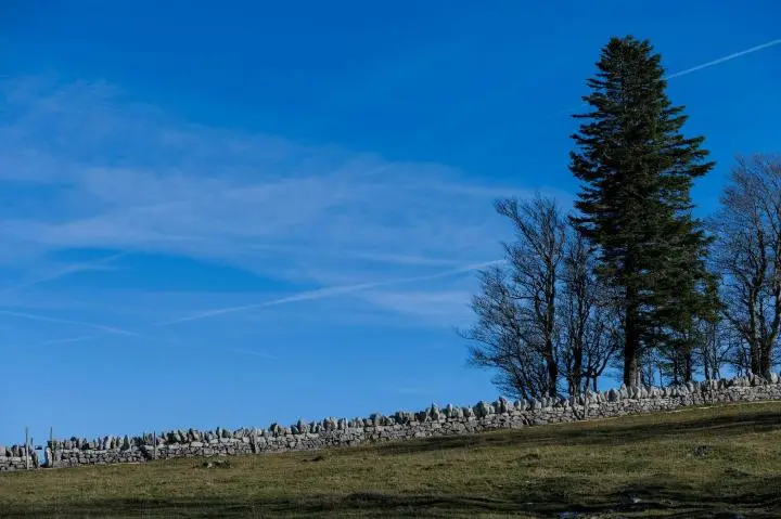 image Séjour à Bonnétage