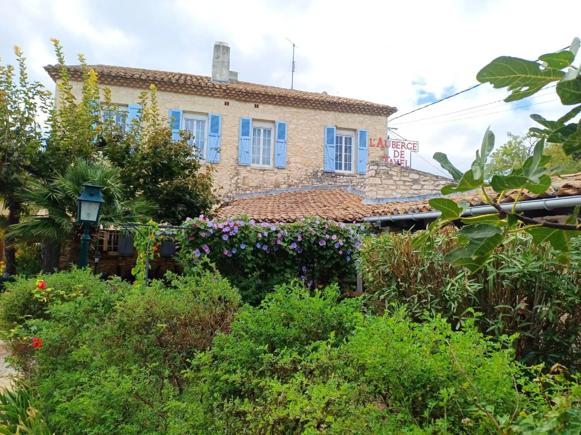Auberge De Tavel in Tavel, France