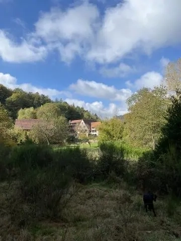 Hotel l'Auberge de l'Imsthal à La Petite Pierre