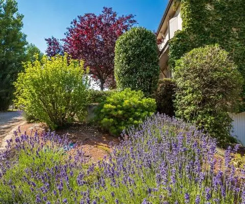 imageParc arboré de 5 200 m²