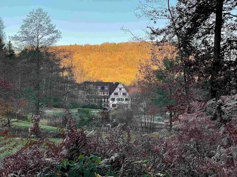 Hotel l'Auberge de l'Imsthal in La Petite Pierre