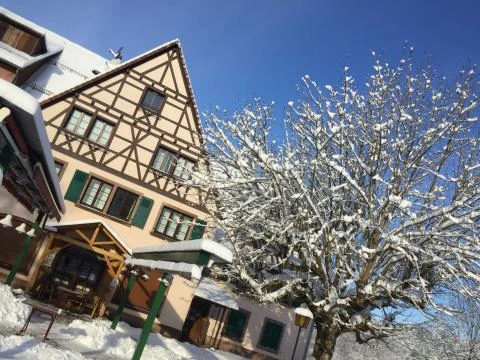 Image de Hôtel Auberge de l'Imsthal