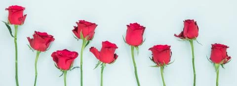 image Mother's Day - Sunday, May 25