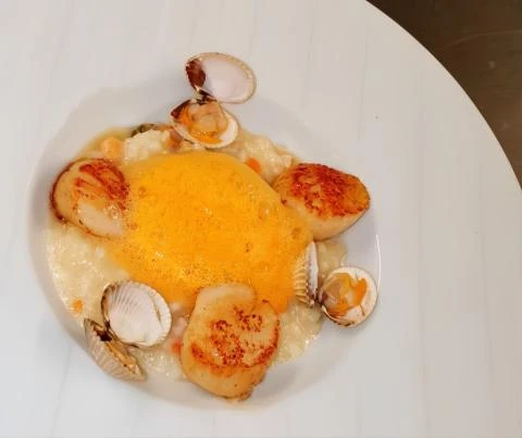 image Logis Hôtel le Tropicana