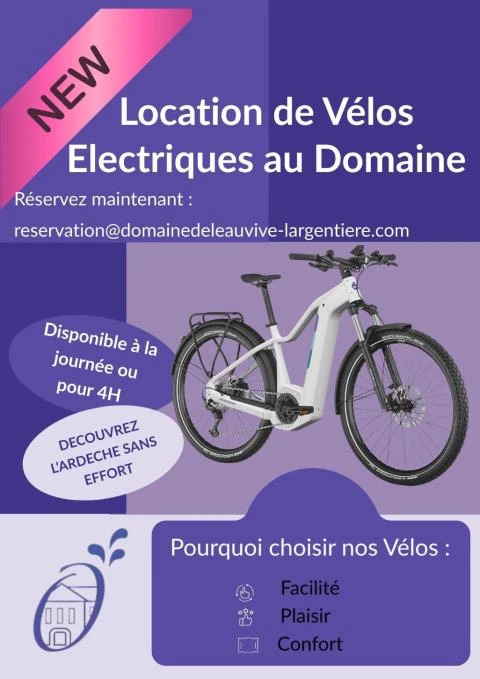  NOUVEAUTE AU DOMAINE : LA LOCATION DE VTT ELECTRIQUE