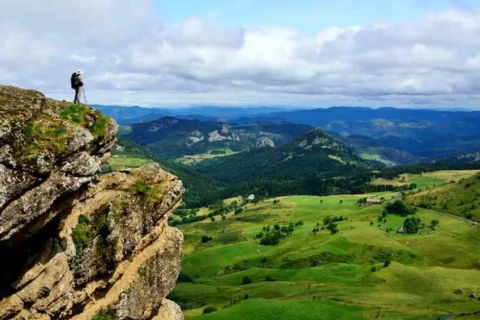 image Logis Hôtel Le Chene Vert