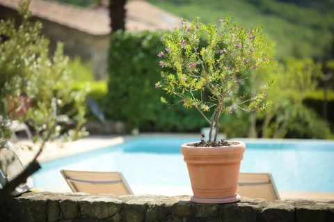 image Logis Hôtel Le Chene Vert