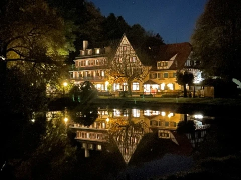 Hotel l'Auberge de l'Imsthal in La Petite Pierre
