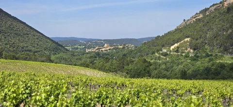La région