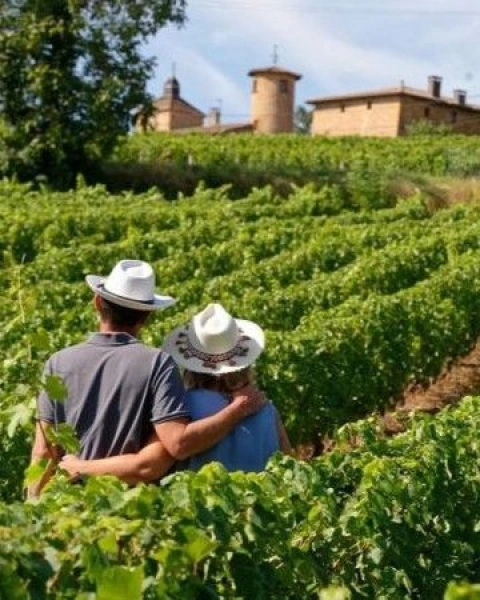 image Vignobles en Scène 2026 : week-end œnotourisme